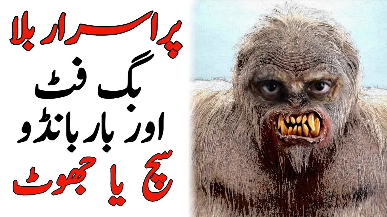 Bigfoot realty in hindi/urdu बिगफुट का रहस्य بگ فٹ کا معمہ