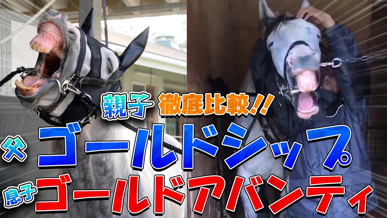 Comparison Video] Just How Similar Are the Eccentric Antics of