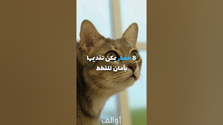 8 خضار يمكن تقديمها بأمان للقطط 🐈
