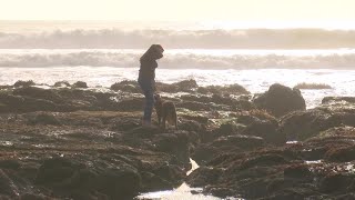 How the U.S. Coast Guard in Morro Bay is preparing for King Tides
