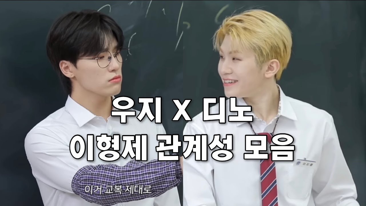 [세븐틴/우지 디노] 단짠을 오가는 이형제 케미