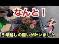 【植えて正解でした！】西陽にも負けないラックス！