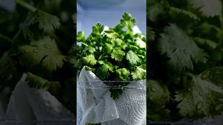✨ 5 Useful Kitchen Hacks You Must Know ⚡ | Daily Kitchen Tips #shorts