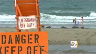 50-Pound Jellyfish Stings 150
