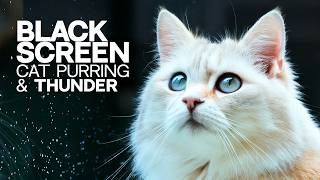 Cat Purring and Thunder | Black Screen | Cat Purring ASMR & Thunder Sounds | Dark screen | 3 Hours