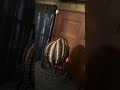 #winstonsalem #hairstyles #haircare #braidshairstyles #wssustylist #stiching #cornrows #braids