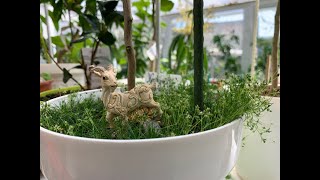 картинка: Микориза, чистота растений, вредный грибок