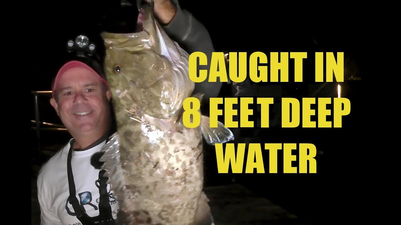 Catching Grouper In Shallow Water Jig Fishing Cobia From Bridge Nighttime camera iphone 8 plus apk