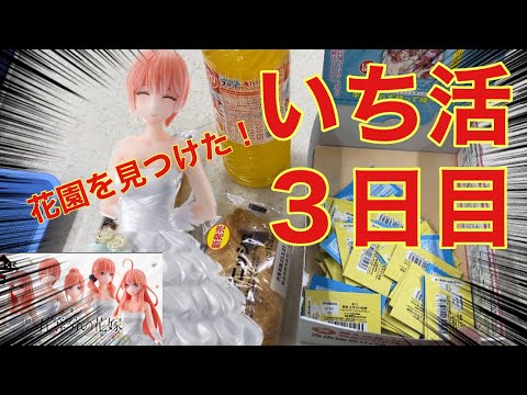 いち活３日目です。一番くじ映画・五等分の花嫁。