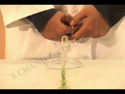 X Class Biology Practicals