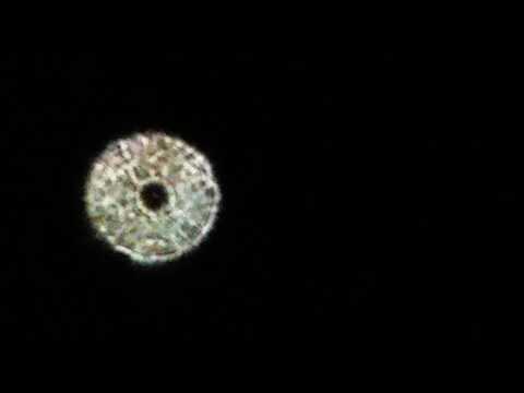 12inf5 star test