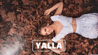 Azet Capital Bra Oriental Turkish Dancehall Type Beat - Yalla Prod Ea