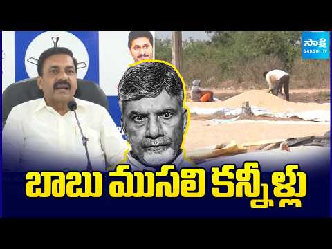 బాబు ముసలి కన్నీళ్లు: Kakani Govardhan Reddy | Chandrababu Conspiracy On Maize Farmers | Sakshi TV - SAKSHITV