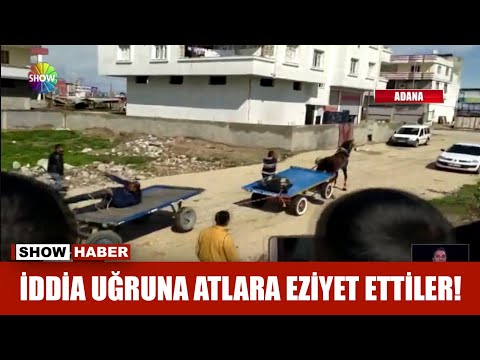 İddia uğruna atlara eziyet ettiler!