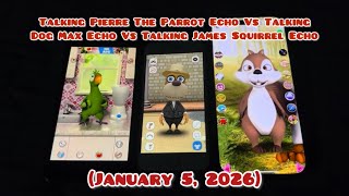 Talking Pierre The Parrot Echo Vs Talking Dog Max Echo Vs Talking James Squirrel Echo 152026