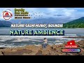 Coffee music nature calm music sounds relaxation  youtube audio library