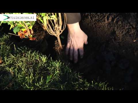 Video: Tuin Hagen. Landbouwtechniek