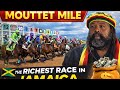 HUGE MOUTTE MILE ANNOUNCEMENTS FOR 2026 ARE U READY