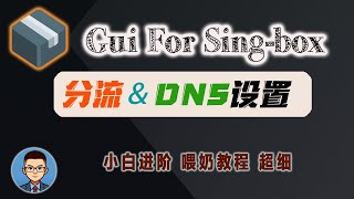 排名第一的代理工具Sing-Box,精细分流和DNS设置教程!玩转的Gui for sing-box客户端,策略组规则集路由设置和DNS规则设置|节点和订阅转换(进阶篇)