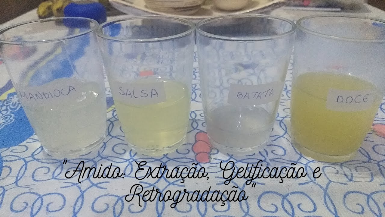 Experimento: Extração de Amido de Diferentes Vegetais