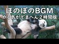 フリーBGM 作業用BGM ほのぼの 2時間ループ版【やる気がでまへん】＜音楽素材＞