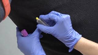Equine - Collect an EDTA blood sample