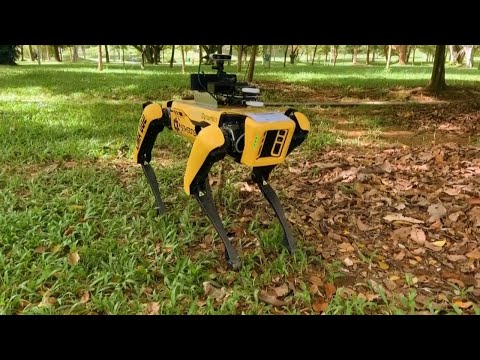 This Robot Is the Latest Social Distancing Enforcer | Coronavirus News for May 11, 2020