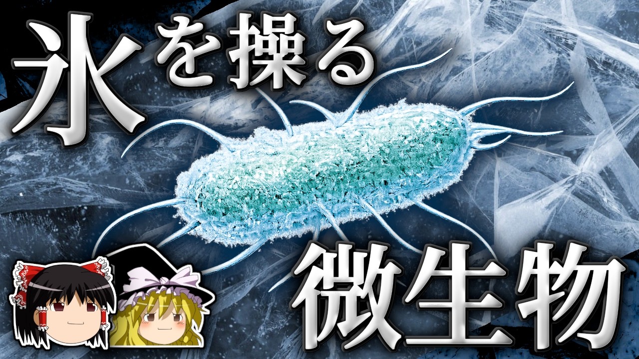 水を凍らせ、雨を降らせる微生物 ～氷核活性微生物～【ゆっくり解説】