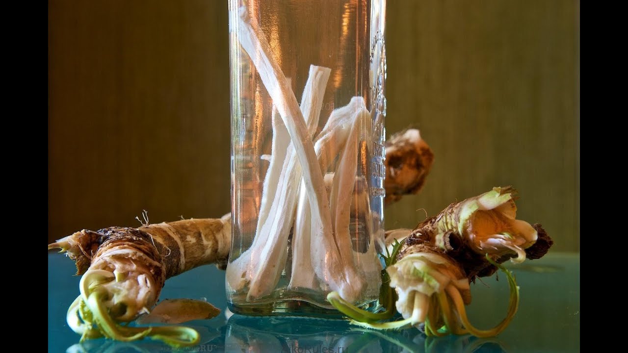 Хреновуха. Рецепт приготовления. - YouTube