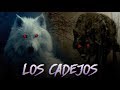 EL CADEJO - Historias de terror reales Leyendas, miedo y paranormal #ElPadrino