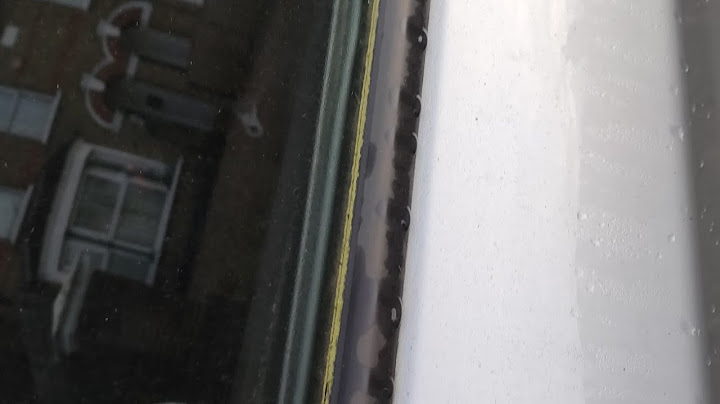 How to Remove Mould & Algae From Your Car At Home for Pennies & Fast