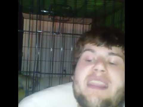 Eminem's bully DeAngelo Bailey - YouTube