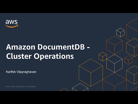 Amazon DocumentDB (2