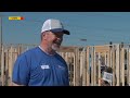 Hundreds of 3Rivers employees volunteering