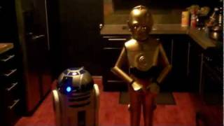 Best C3PO and R2D2 homemade costumes
