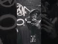Soulja Boy (RMX) by #conwaythemachine #romestreetz #buffalo #realrap #boombap #griseldarecords