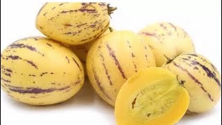 Pepino Nedir ,Faydaları Neler