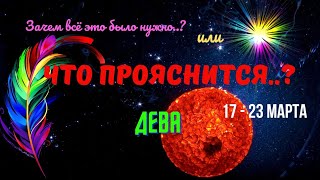:    17  23  2025 Tar`o Ispirazione