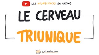 LE CERVEAU TRIUNIQUE - Les neurosciences en dessins