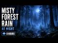Misty Forest Rain at Night 🌧️ Deep Sleep Rain Sounds in a Foggy Pine Forest | 8 Hours