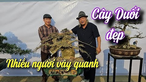 SH.9879. Nhiều người kéo tới vây quanh cây Duối đẹp tại triển lãm CLB Tiền Phong.Đoan Hùng.