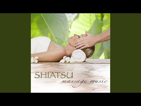 Top Tracks - Healing Massage Music Masters