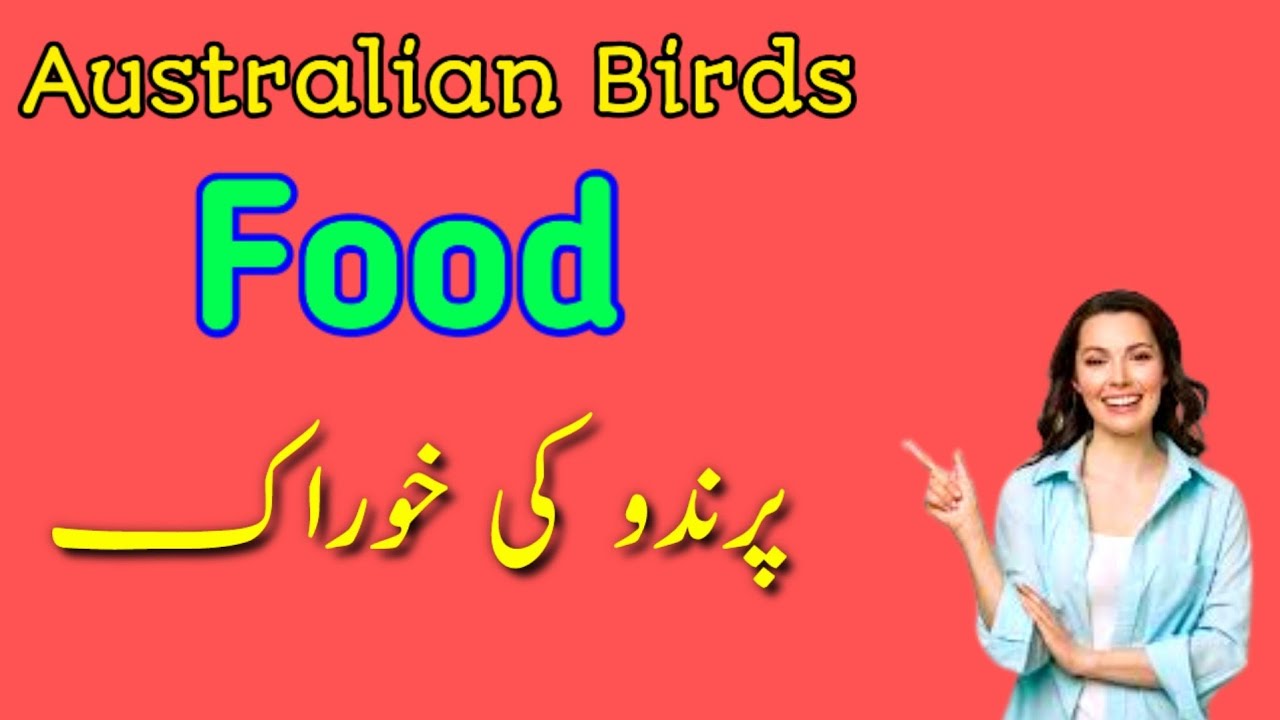 Bird food millet world Birds Food YouTube