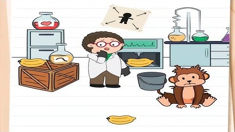 Brain Test 4 Level 406 Solution