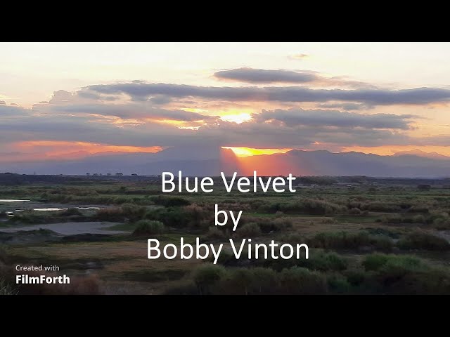 Bobby Vinton - Blue Velvet class=
