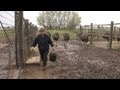 Ostrich Farmer Helen Wall, Alden, Iowa