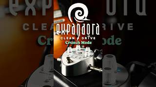 BIXONIC Expandora EXP-2000DR Demo | Crunch in Modern style - YouTube
