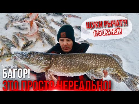 ЩУКИ РЫЧАТ, ОКУНИ КАК ИЗ ПУЛЕМЁТА, БАГРЫ ТОНУТ В ЛУНКАХ! 2я часть #EsoxRaptor #окунь #щука #рыбалка
