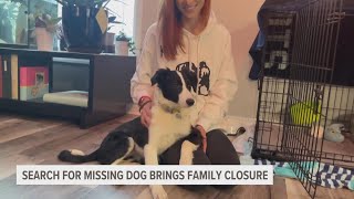 Search for missing dog brings another family closure