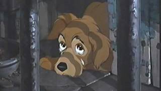 Disney ASPCA Commercial